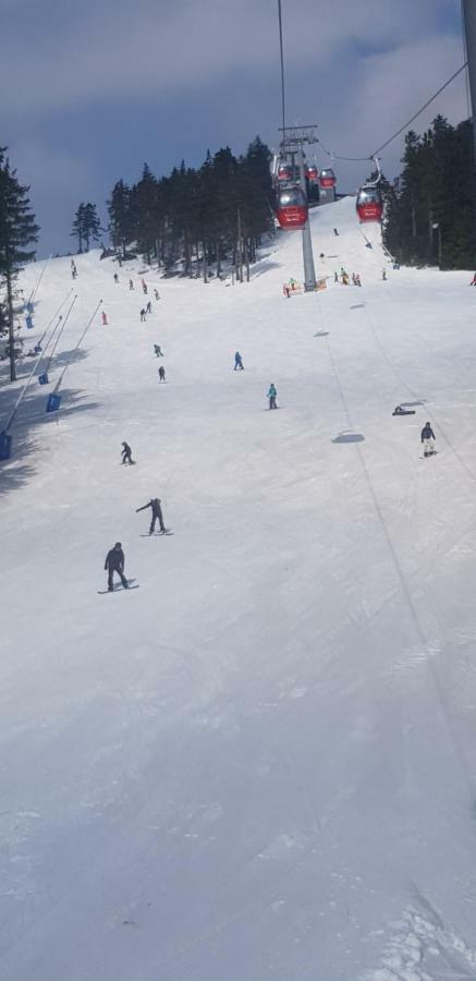 Fewo Haude Braunlage Esterno foto